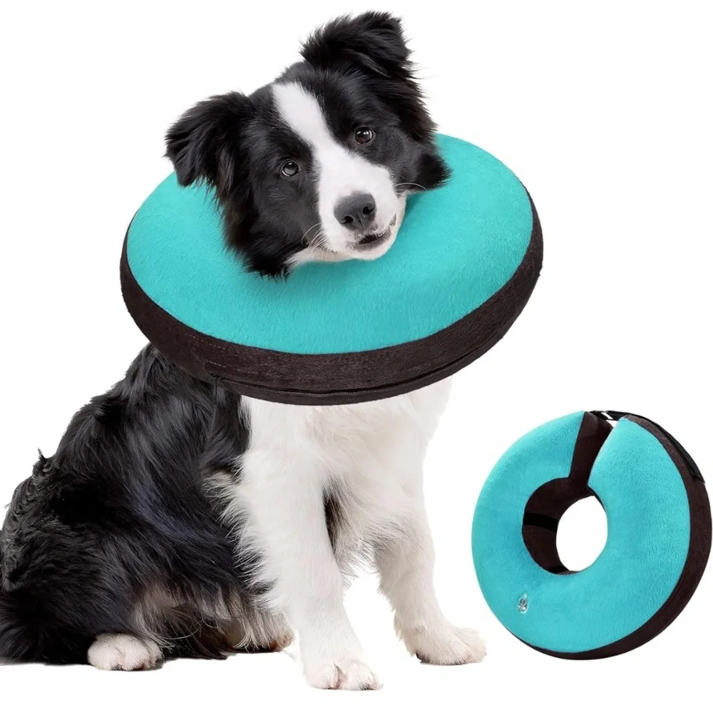 Bilibara Inflatable Dog Collar Size Large Teal Color Recovery Surgery Cone New